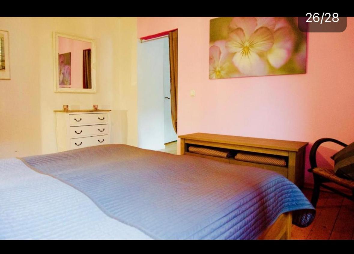 Apartment Moselblick Mit Kamin Трабен-Трарбах Екстериор снимка