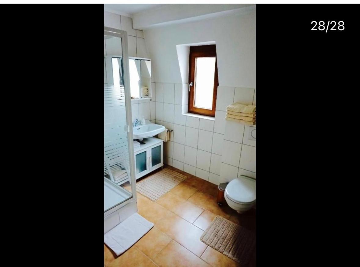 Apartment Moselblick Mit Kamin Трабен-Трарбах Екстериор снимка